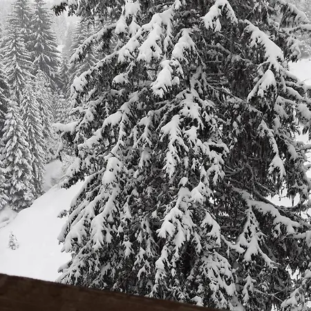 602 Kopaonik